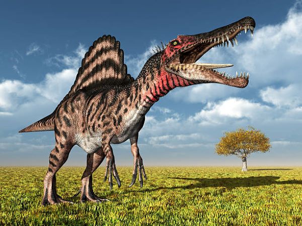 Spinosaurus-dino