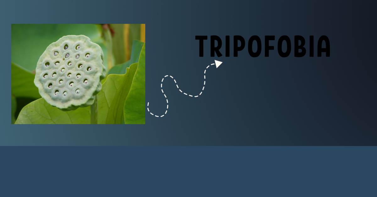 tripofobia